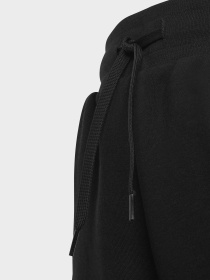 Джогери Adidas Adicolor модель IC6234 Фото