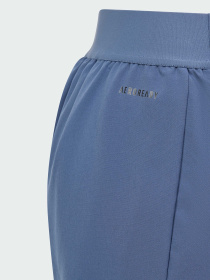 Штани повсякденні Adidas ZNE модель IS3401 Фото