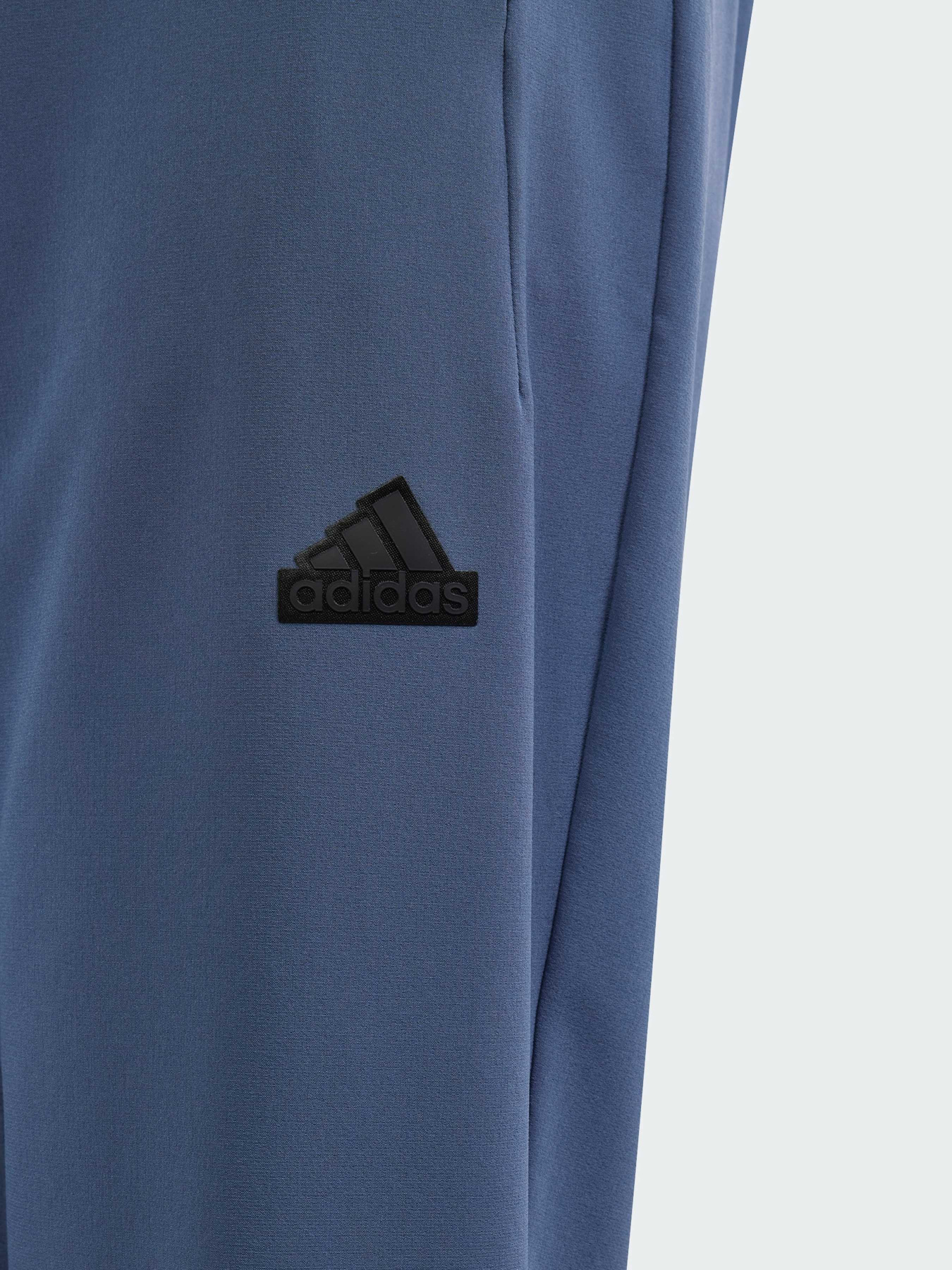 Повседневные штаны Adidas ZNE модель IS3401 Фото