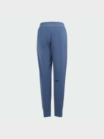 Повседневные штаны Adidas ZNE модель IS3401 Фото