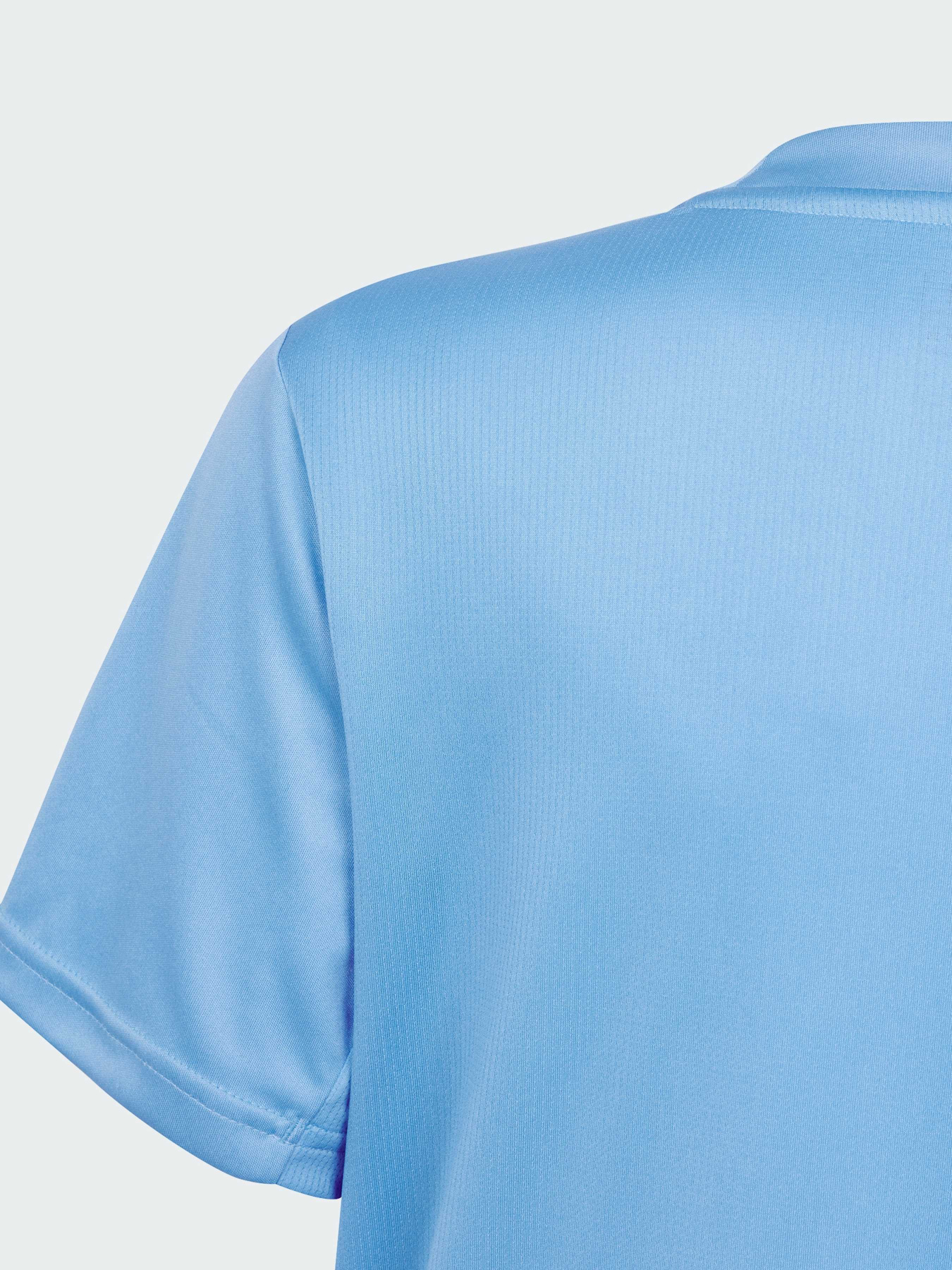 Спортивна футболка Adidas модель IS1683 Фото