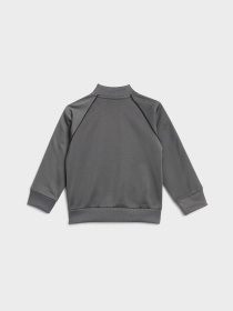 Спортивный костюм Adidas модель IJ5404 Фото