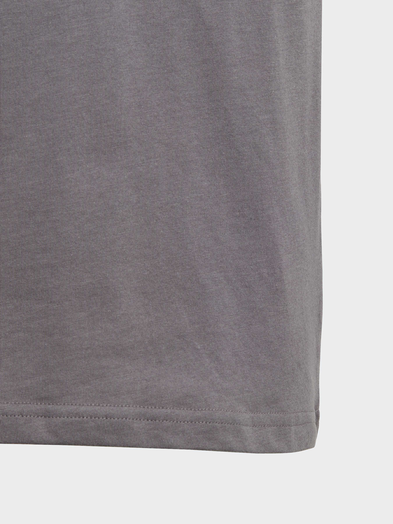 Футболка Adidas Adicolor модель IJ7178 Фото