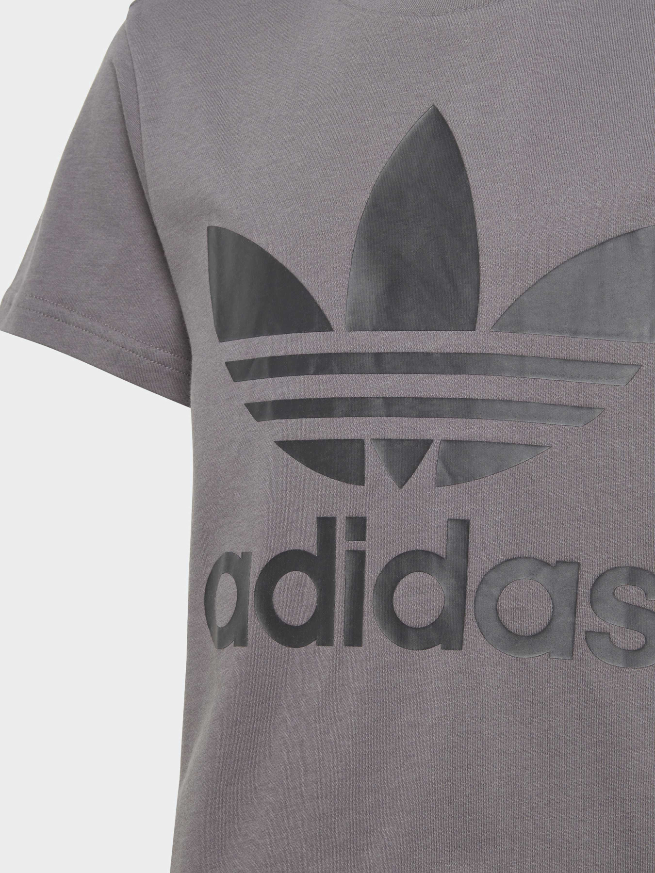 Футболка Adidas Adicolor модель IJ7178 Футболка Adidas Adicolor модель IJ7178 Фото