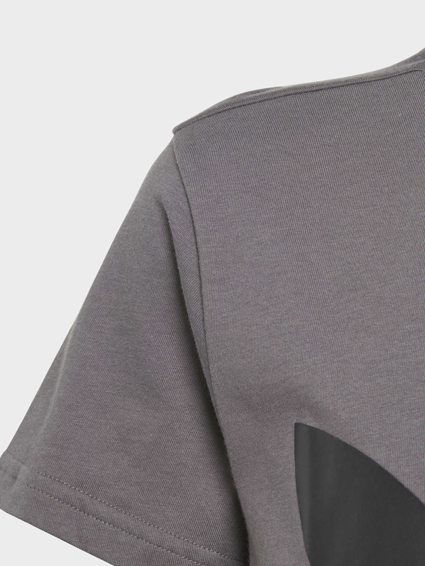 Футболка Adidas Adicolor модель IJ7178 Футболка Adidas Adicolor модель IJ7178 Фото