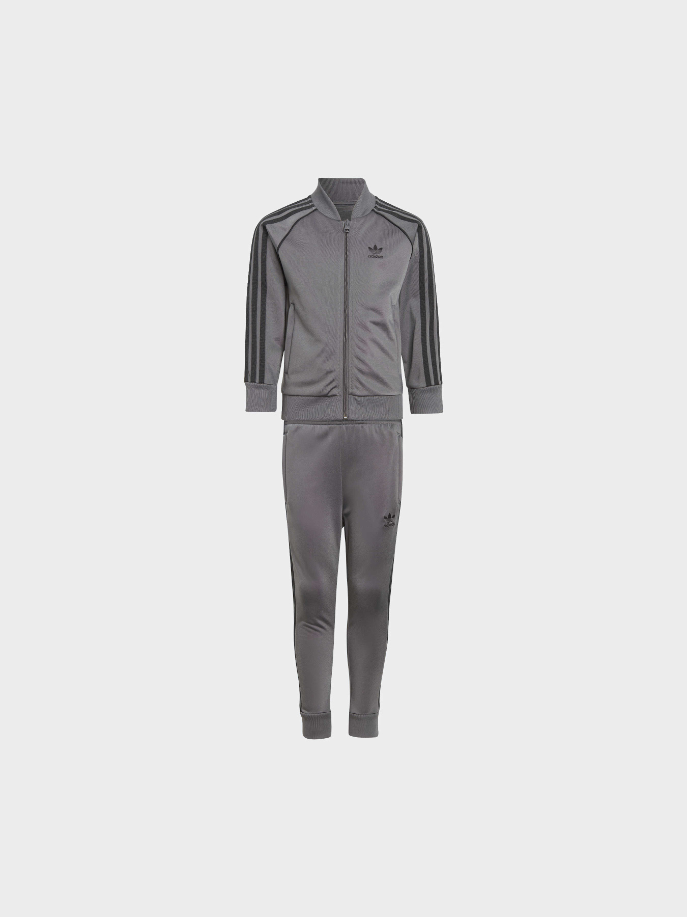 Спортивный костюм Adidas Adicolor модель IJ5492 Фото