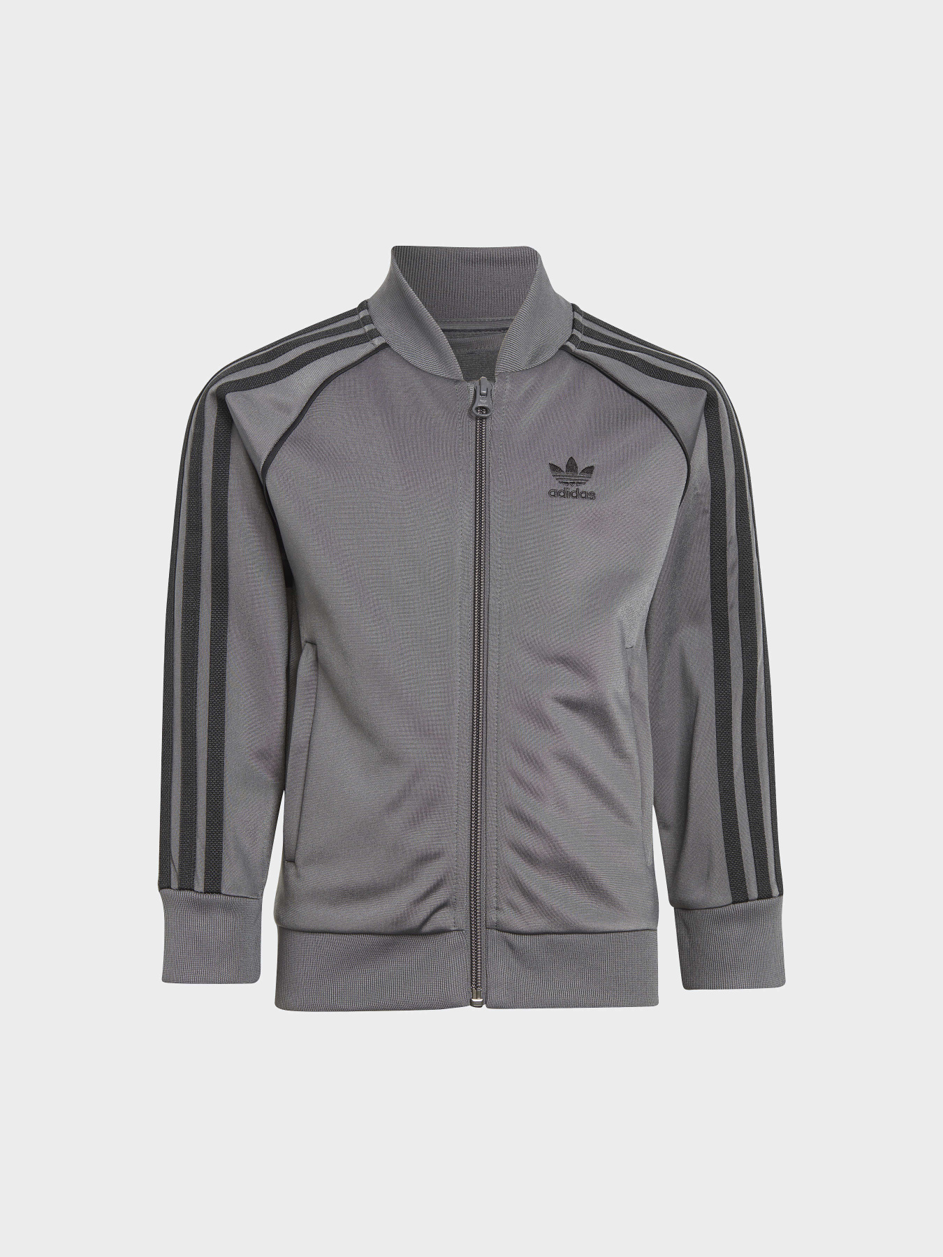 Спортивный костюм Adidas Adicolor модель IJ5492 Фото