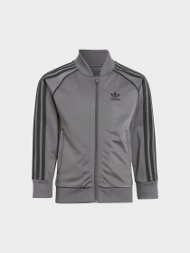 Спортивный костюм Adidas Adicolor модель IJ5492 Фото