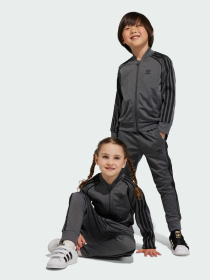 Спортивный костюм Adidas Adicolor модель IJ5492 Фото