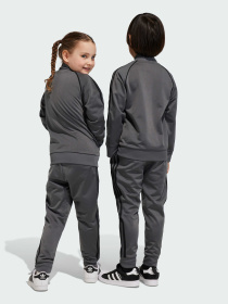 Спортивний костюм Adidas Adicolor модель IJ5492 Спортивний костюм Adidas Adicolor модель IJ5492 Фото