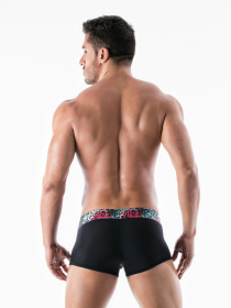 Трусы Geronimo модель 1950b1 Фото