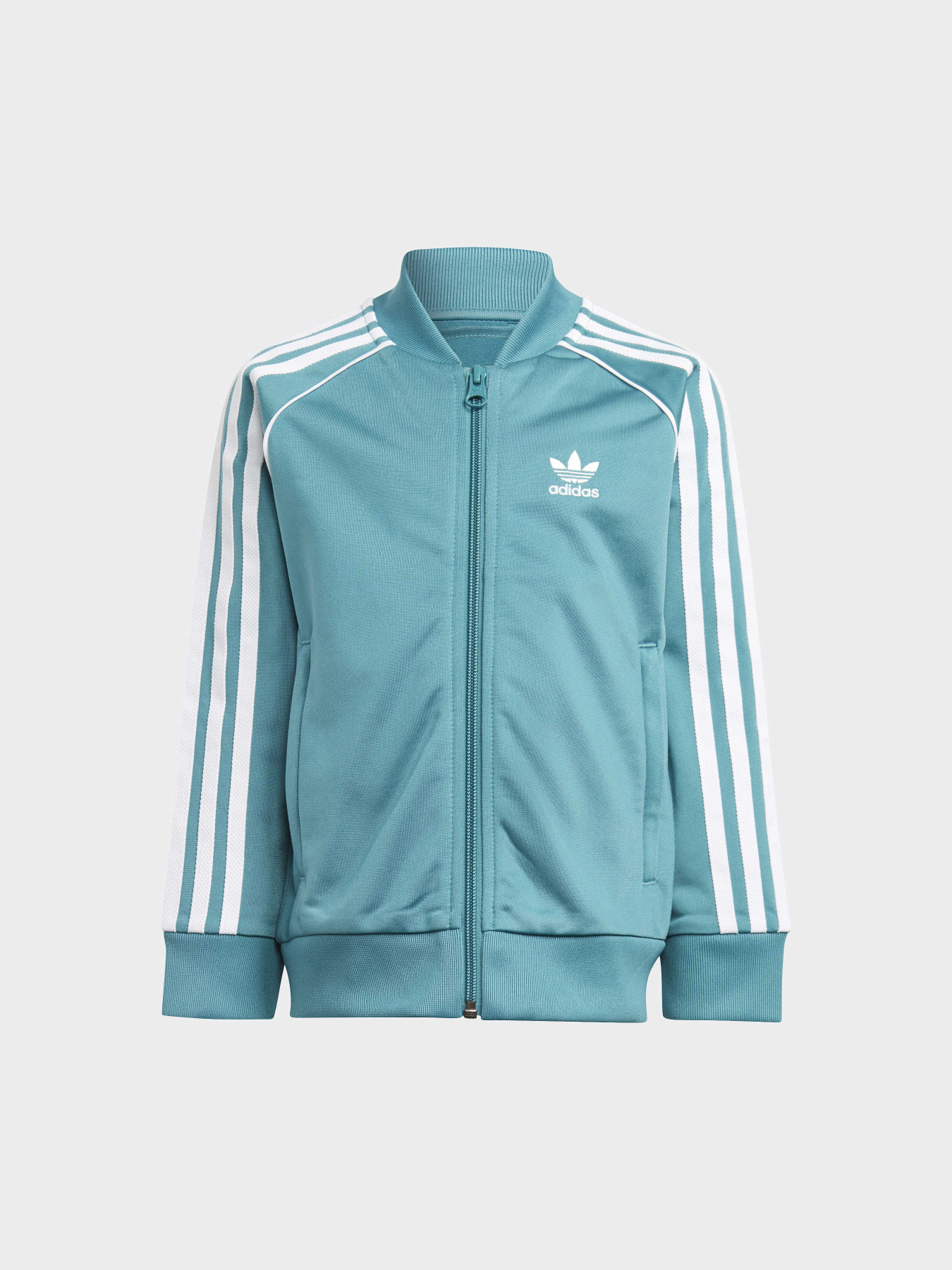 Спортивный костюм Adidas Adicolor модель IJ5494 Фото