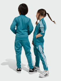 Спортивный костюм Adidas Adicolor модель IJ5494 Фото