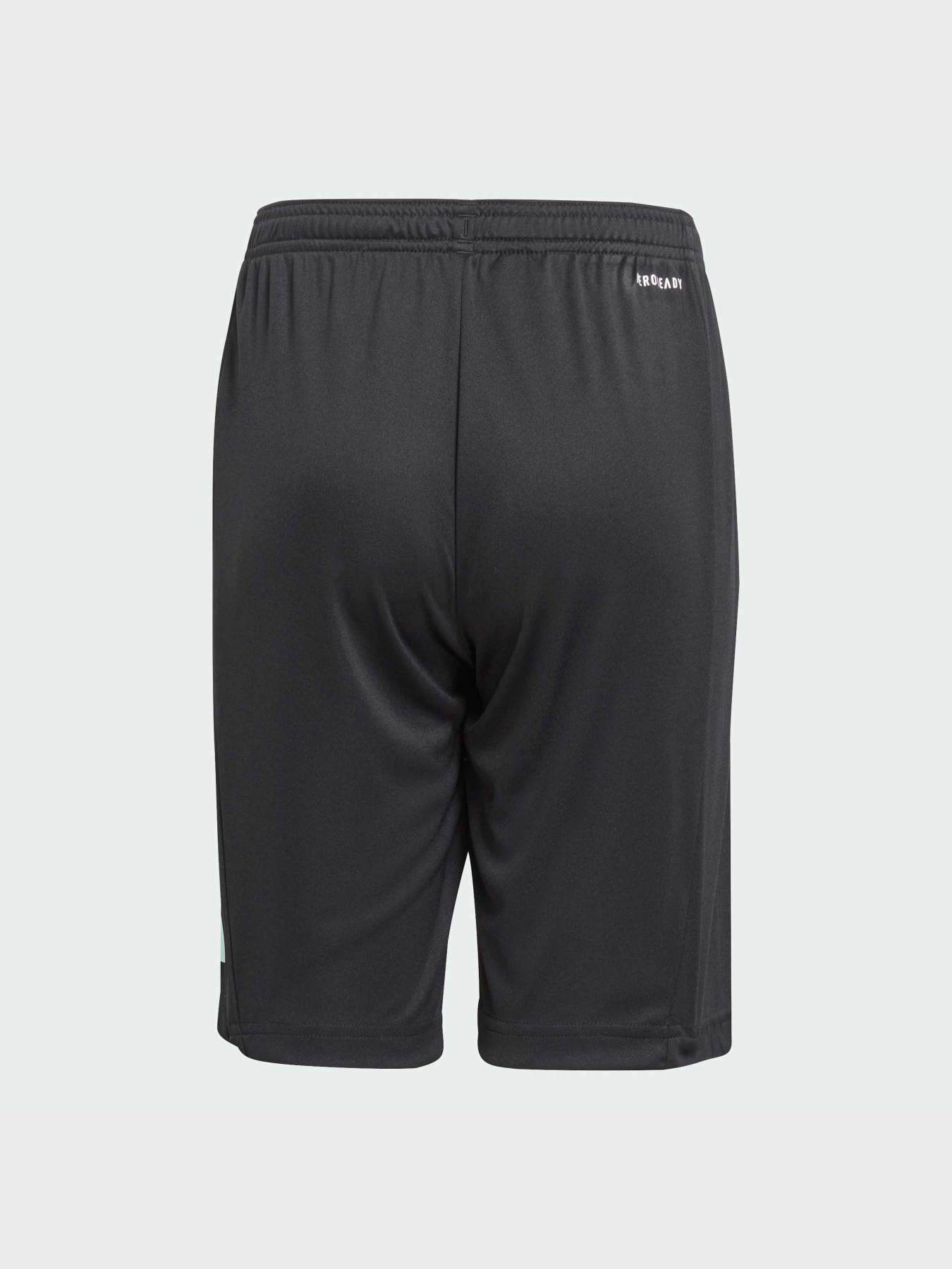 Шорты спортивные Adidas модель IJ9564 Фото