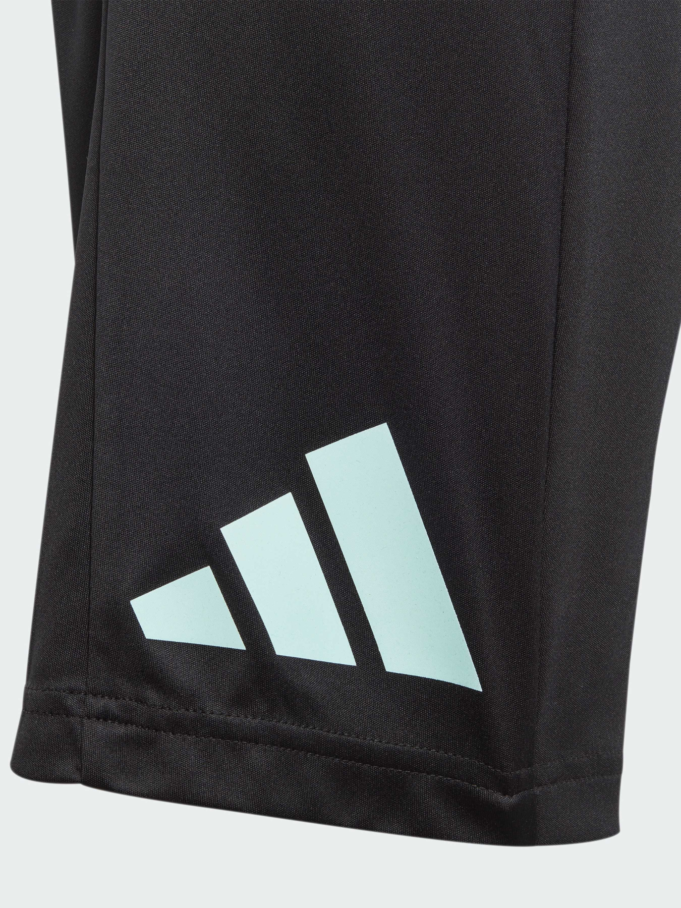 Шорты спортивные Adidas модель IJ9564 Фото