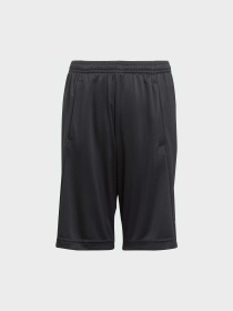 Шорты спортивные Adidas модель IJ9564 Фото