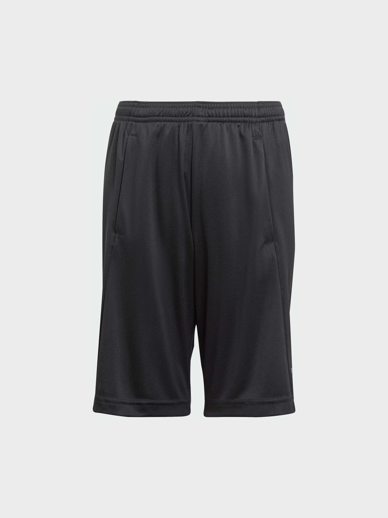 Шорты спортивные Adidas модель IJ9564 Фото