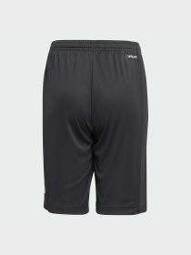 Шорты спортивные Adidas модель IJ9564 Фото