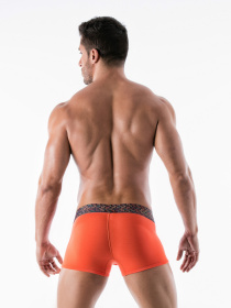 Трусы Geronimo модель 1952b1_Orange Фото