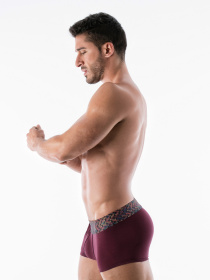 Трусы Geronimo модель 1952b1_Bordo Фото