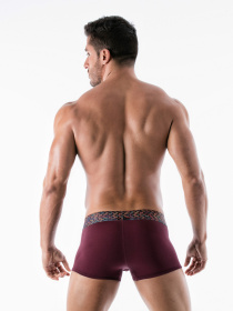 Трусы Geronimo модель 1952b1_Bordo Фото