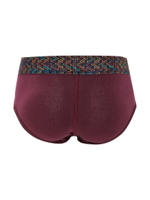 Трусы Geronimo модель 1952s2_Bordo Фото