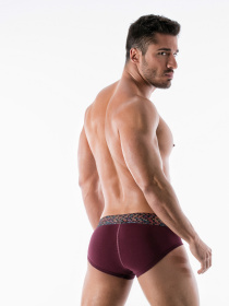 Трусы Geronimo модель 1952s2_Bordo Фото