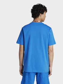 Футболка Adidas Graphics модель IL5138 Фото
