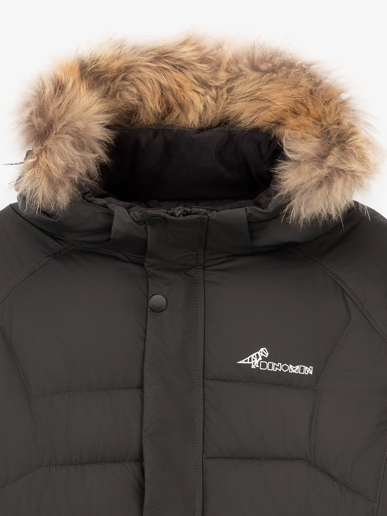 Зимова куртка Dinomin модель 2000990606723 Фото