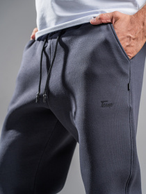 Спортивні штани TeamV модель 101R-3 Фото