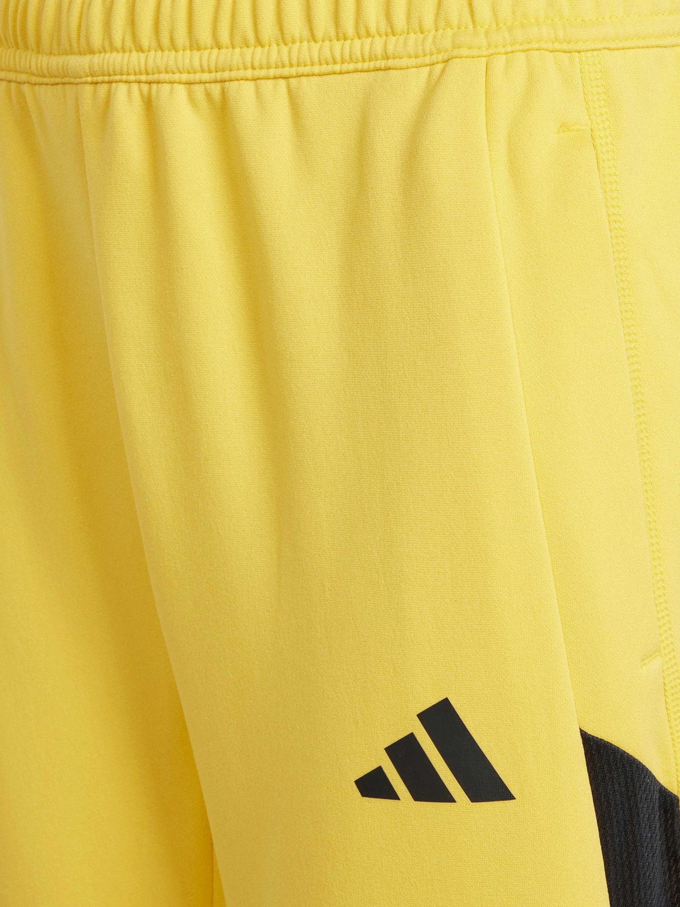 Штаны спортивные Adidas Tiro модель IQ0869 Фото