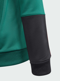 Кофта спортивная Adidas Tiro модель IQ1520 Фото