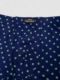 Трусы Ager модель У-1132511::000000084 Фото