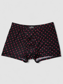 Трусы Ager модель У-1132511::000000096 Трусы Ager модель У-1132511::000000096 Фото