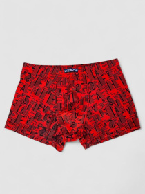 Трусы Ager модель У-1132515::000000050 Фото