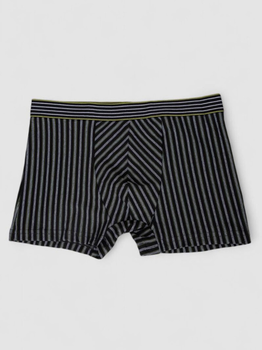 Труси Ager модель У-1132517::000000101 Фото