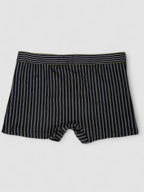 Трусы Ager модель У-1132517::000000101 Фото