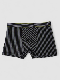 Трусы Ager модель У-1132517::000000101 Фото