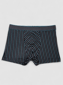 Трусы Ager модель У-1132517::000000299 Фото