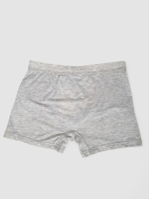 Труси Ager модель У-1132509::000000069 Фото