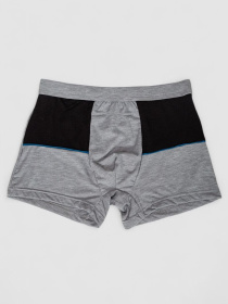 Трусы Ager модель У-1132509::000000072 Фото