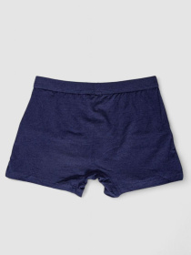 Трусы Ager модель У-1132509::000000084 Трусы Ager модель У-1132509::000000084 Фото