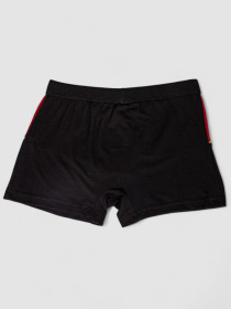 Трусы Ager модель У-1132509::000000134 Фото