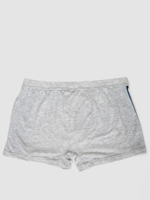 Трусы Ager модель У-1132512::000000069 Фото