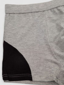 Трусы Ager модель У-1132513::000000072 Фото