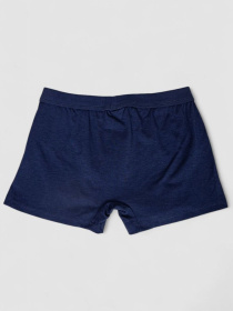 Трусы Ager модель У-1132513::000000084 Фото