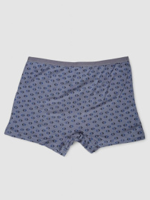 Труси Ager модель У-1132510::000000080 Фото