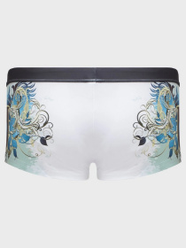 Плавки Geronimo модель 1621b2 Фото