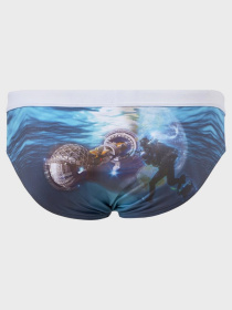 Плавки Geronimo модель 1702s2 Фото