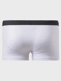 Плавки Geronimo модель 1717b1 Фото